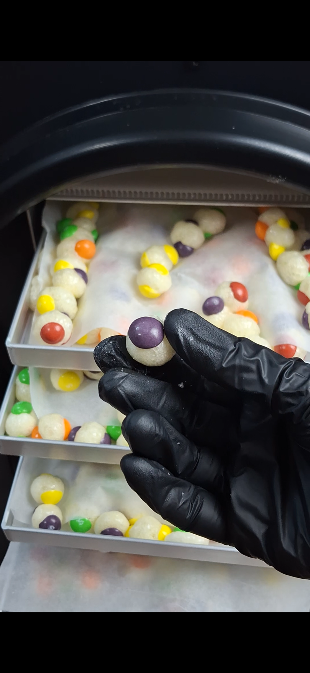 Freeze Dried Skittles